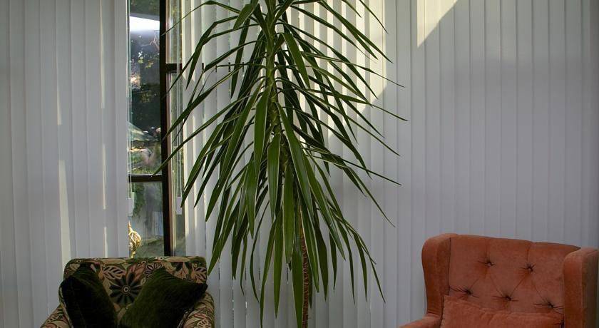 Фото Гостиницы Южный Дагомыс 18